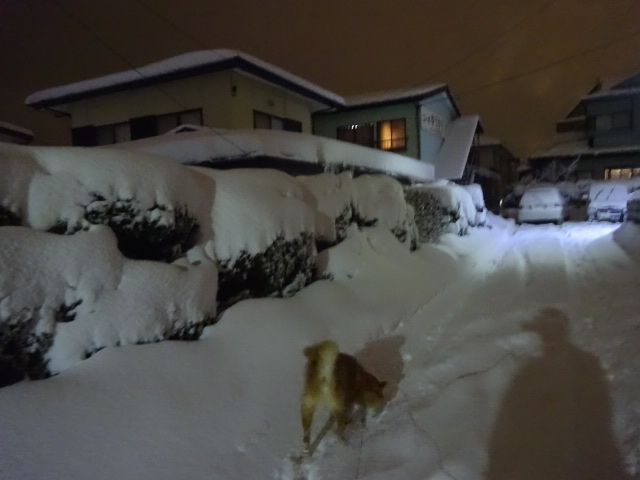 f:id:akita319:20170124090427j:image f:id:akita319:20170124090427j:image