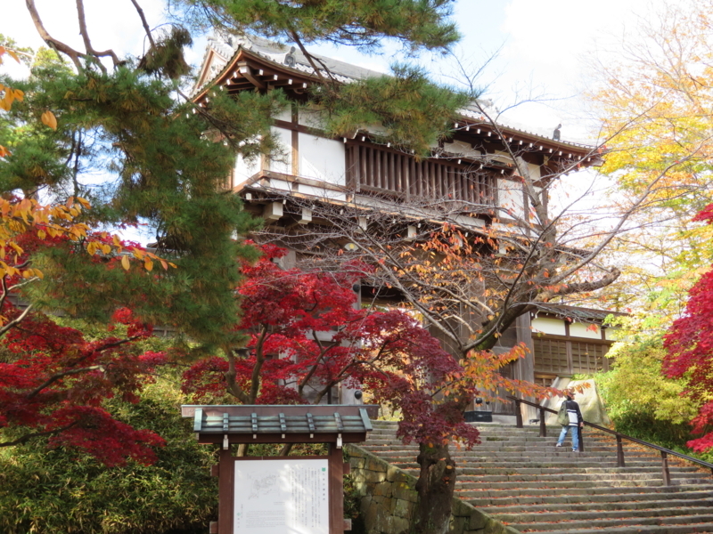f:id:akita319:20171104192536j:image