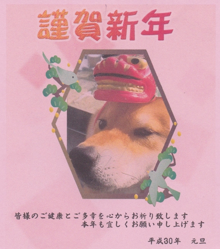 f:id:akita319:20180101001150j:image