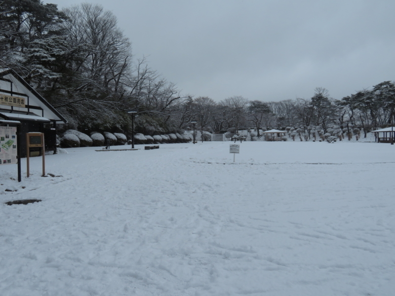 f:id:akita319:20180121193629j:image
