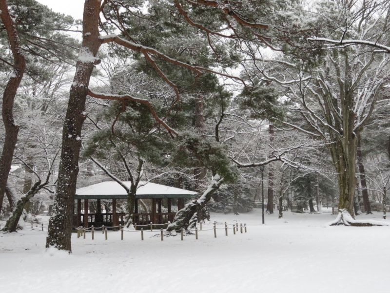 f:id:akita319:20180121193919j:image