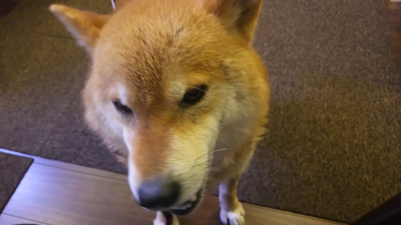 f:id:akita319:20180211085229j:image