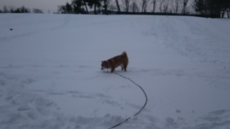 f:id:akita319:20180222202409j:image