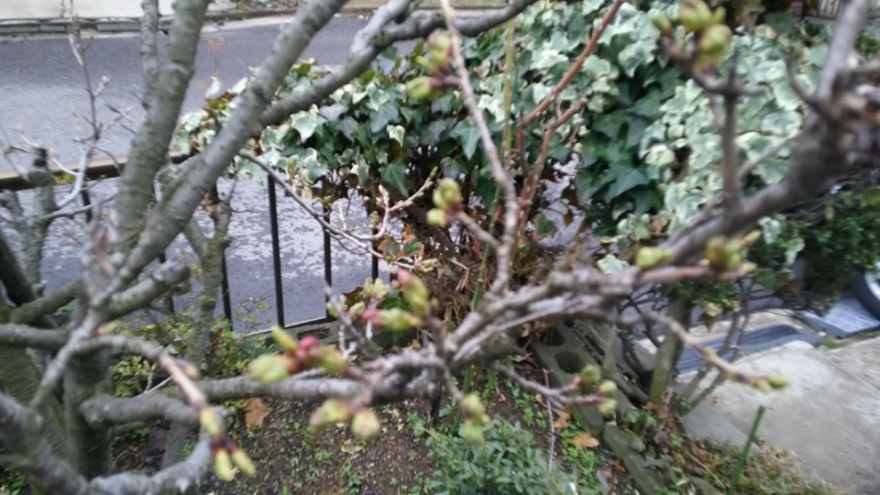 f:id:akita319:20180408094002j:image