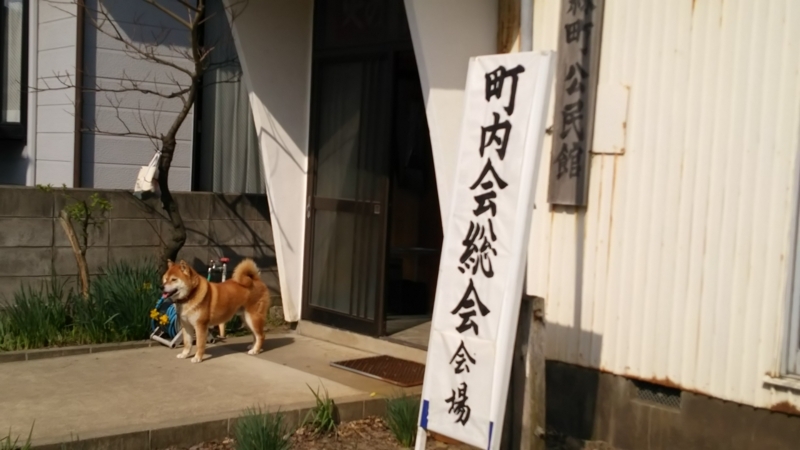 f:id:akita319:20180430065811j:image