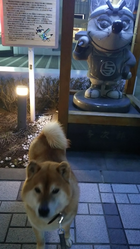 f:id:akita319:20180430070438j:image