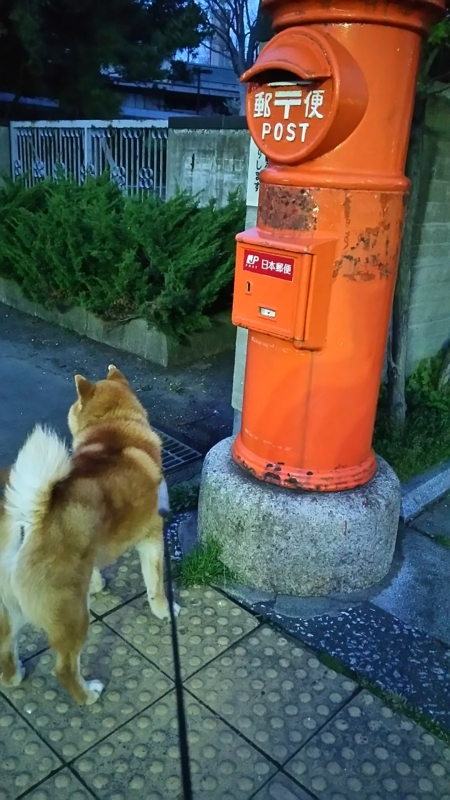 f:id:akita319:20180430070448j:image
