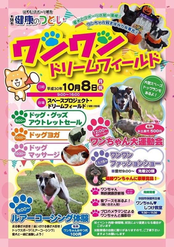 f:id:akita319:20181002215413j:image