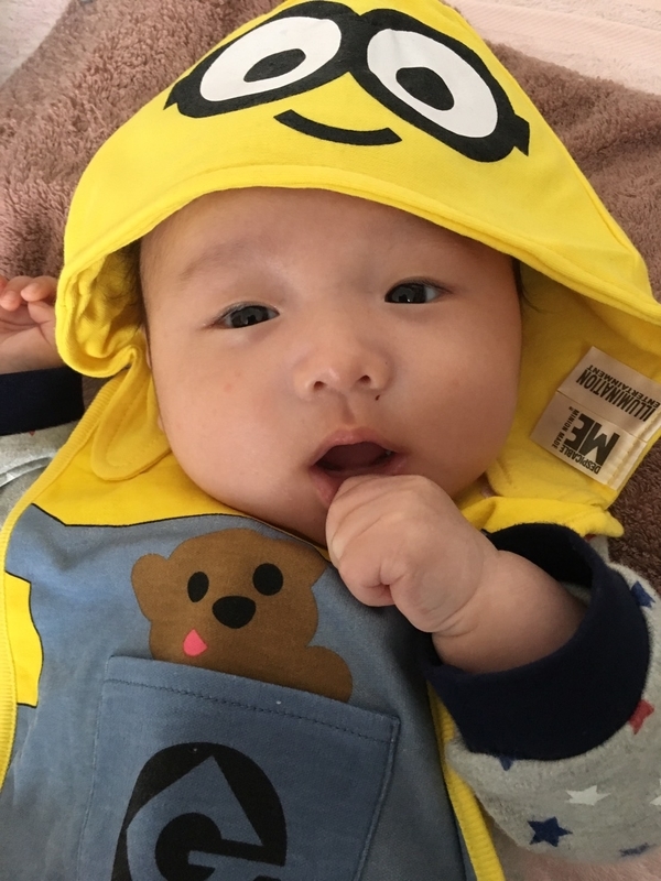 f:id:akita319:20181205223335j:image f:id:akita319:20181205223335j:image