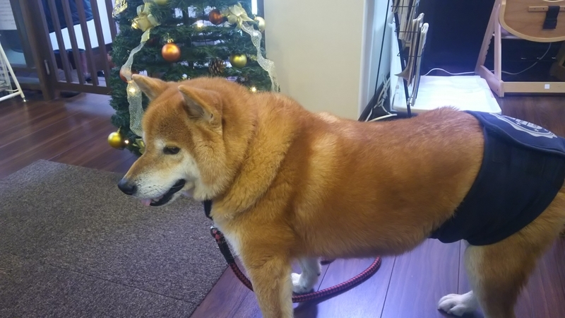 f:id:akita319:20181224234436j:image f:id:akita319:20181224234436j:image