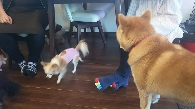 f:id:akita319:20181224234444j:image f:id:akita319:20181224234444j:image