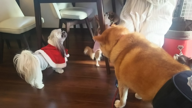 f:id:akita319:20181224234458j:image f:id:akita319:20181224234458j:image