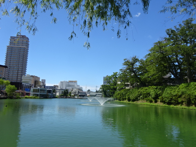 f:id:akita319:20190101002442j:image f:id:akita319:20190101002442j:image