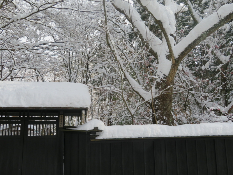 f:id:akita319:20190103222954j:image