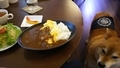 20190106205257