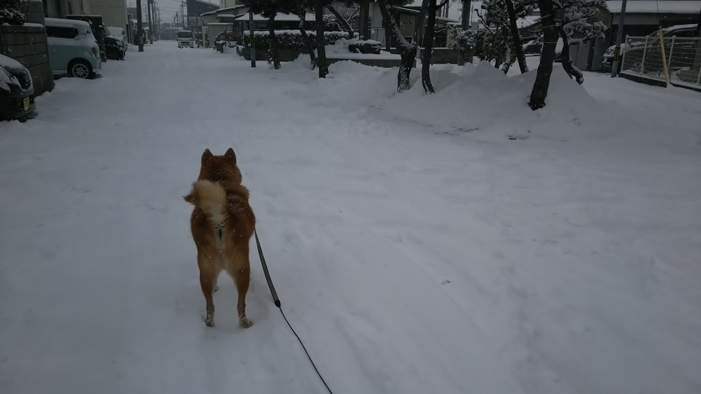 f:id:akita319:20190127091102j:plain