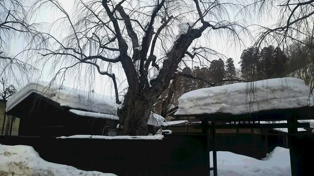 f:id:akita319:20190216194438j:plain