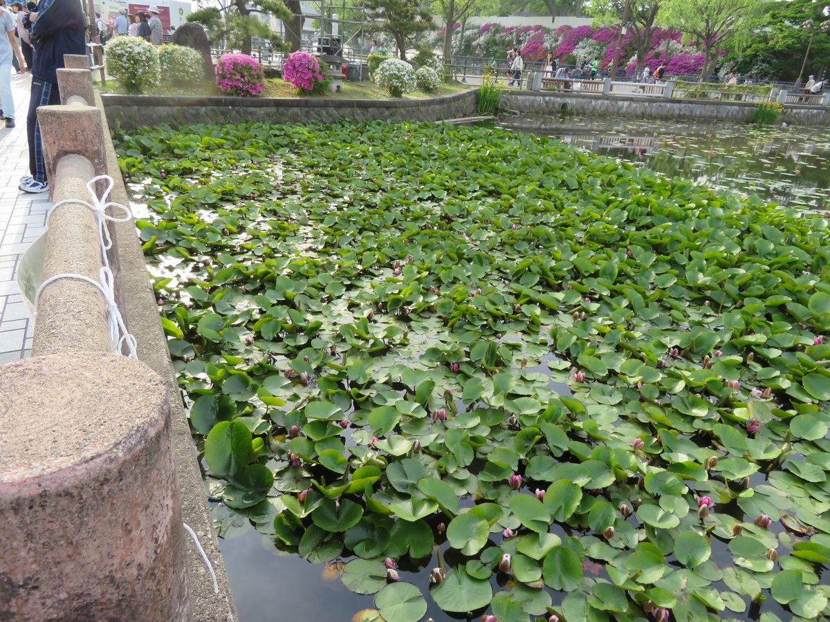 f:id:akita319:20190527221758j:plain