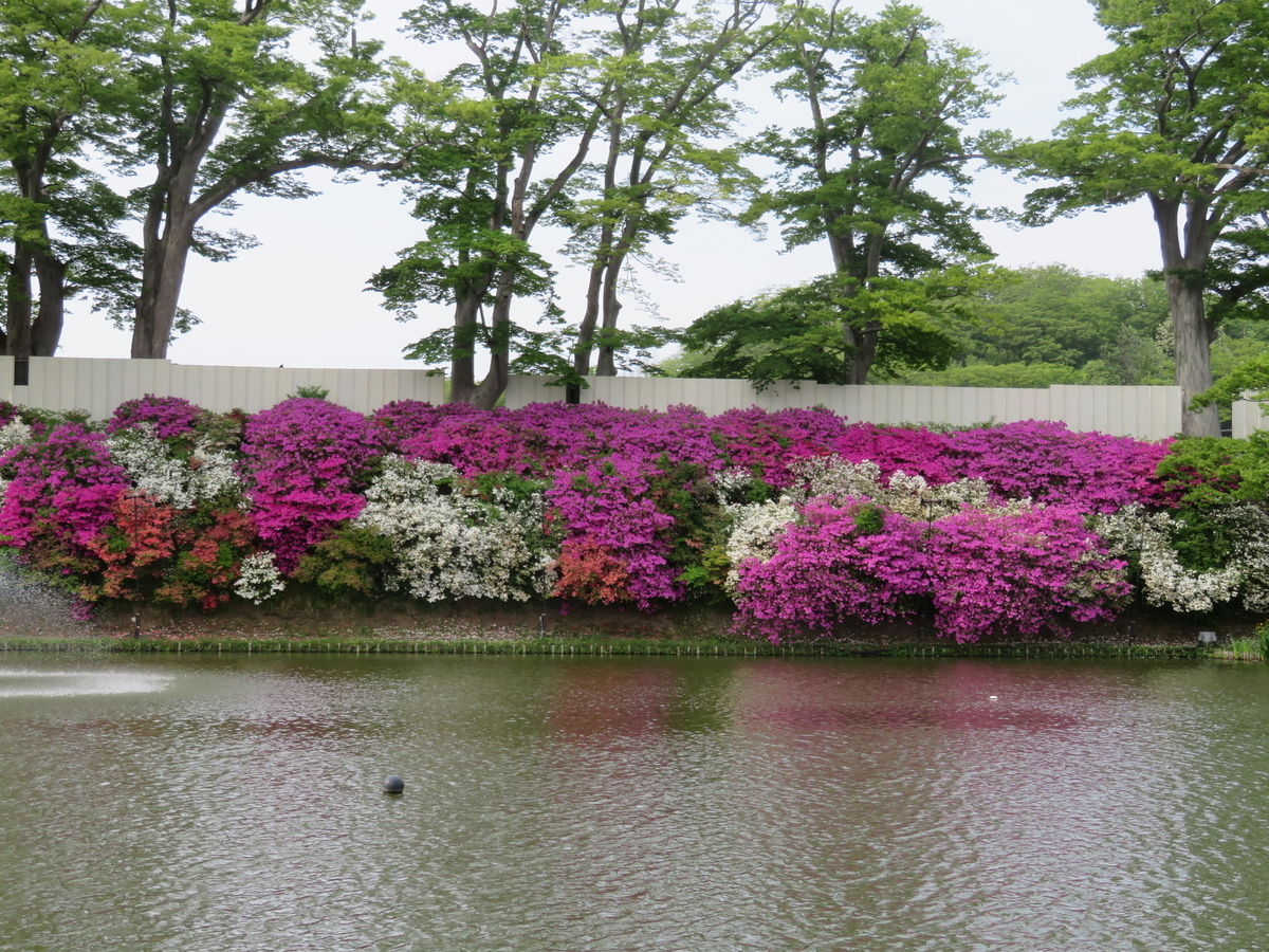 f:id:akita319:20190527221830j:plain