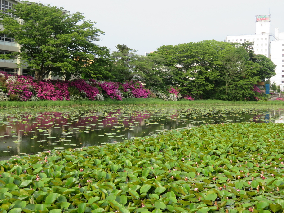 f:id:akita319:20190527222046j:plain