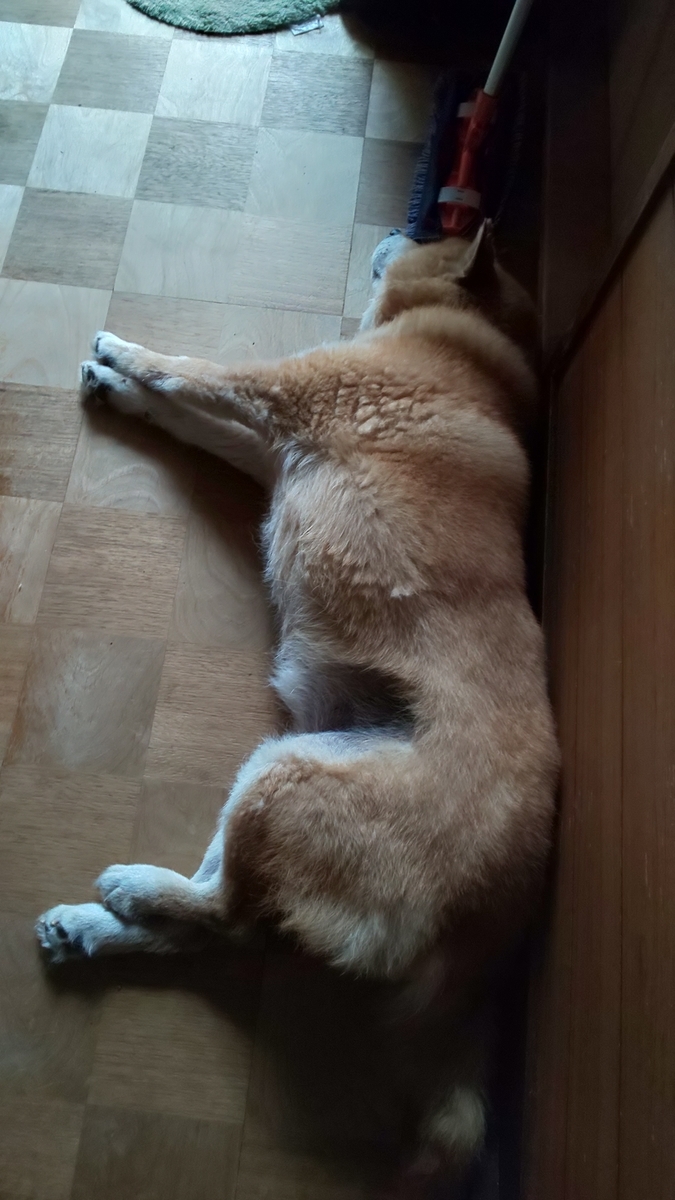f:id:akita319:20190616191856j:plain