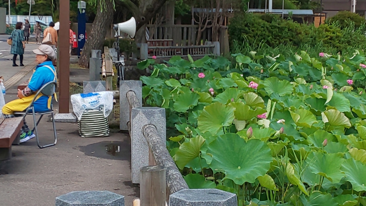 f:id:akita319:20190715102539j:plain