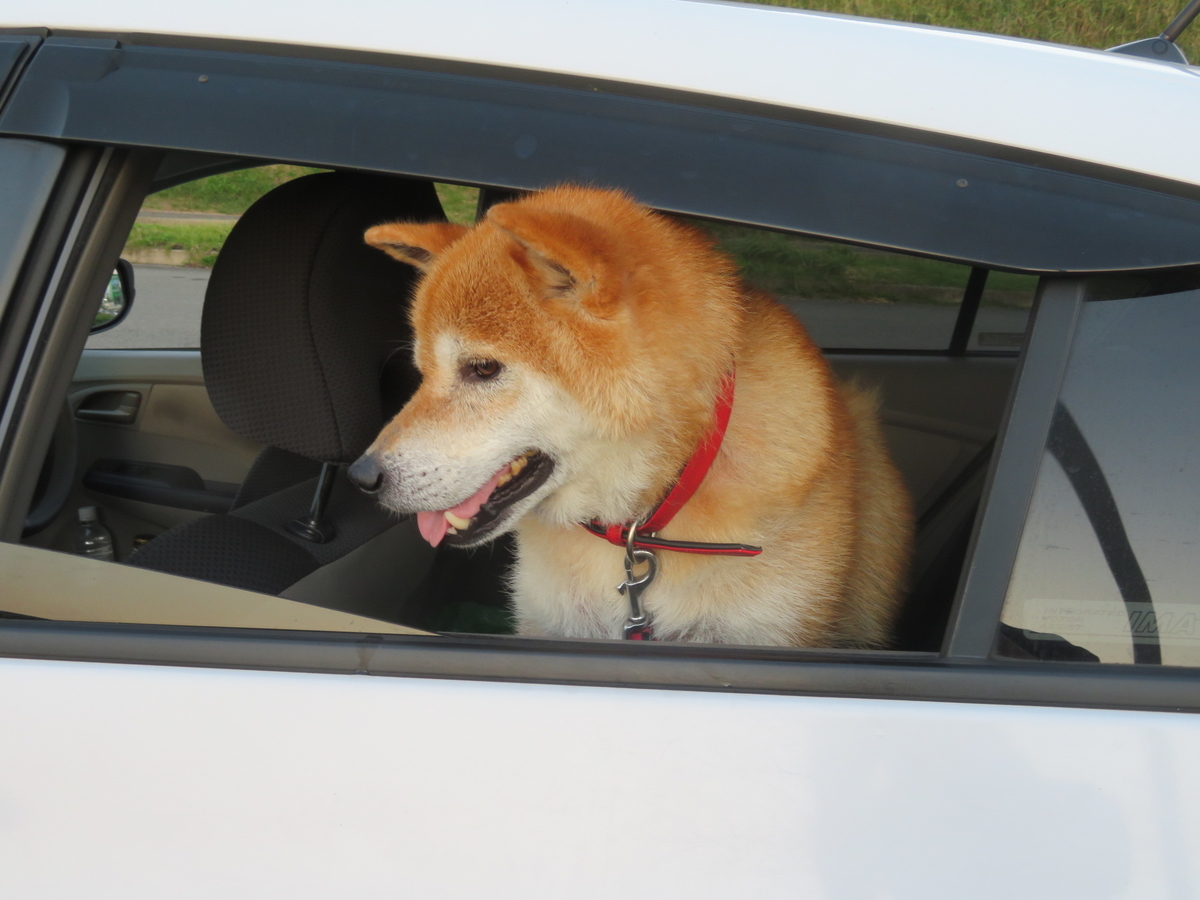 f:id:akita319:20190831200642j:plain