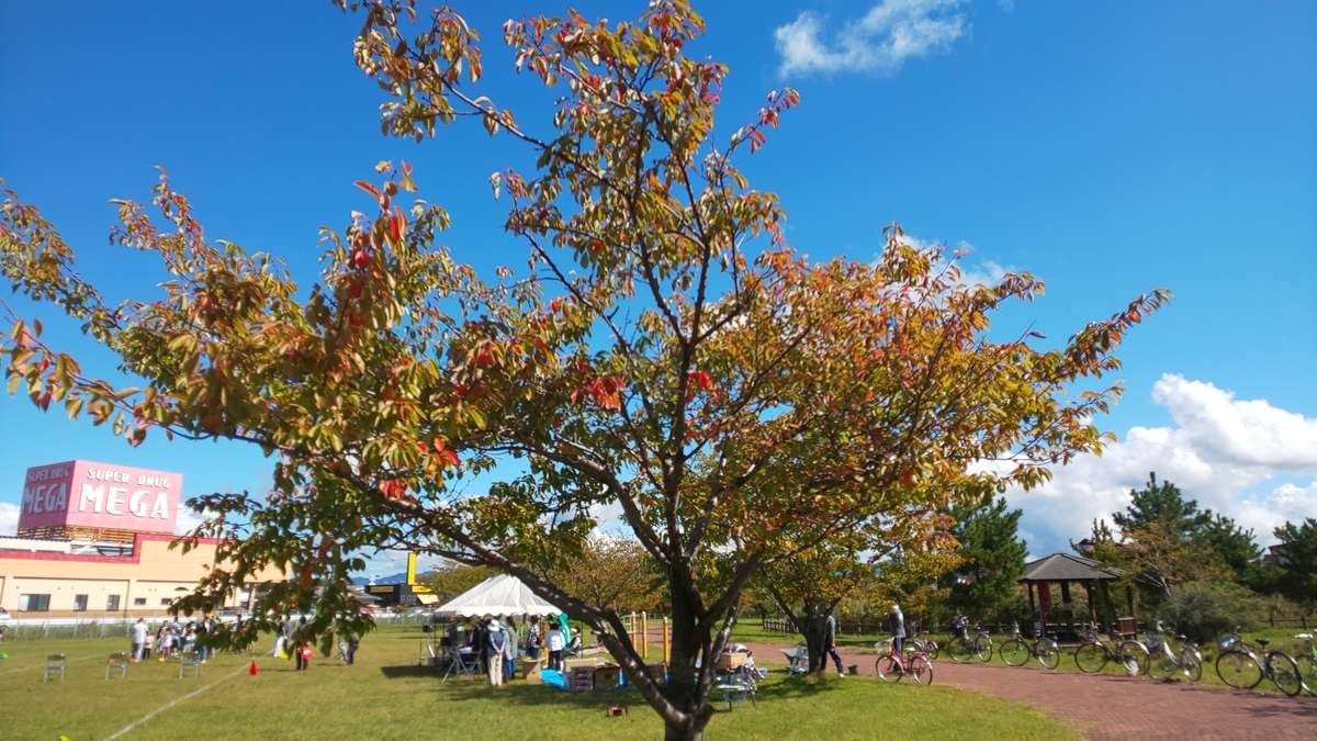 f:id:akita319:20191007211350j:plain