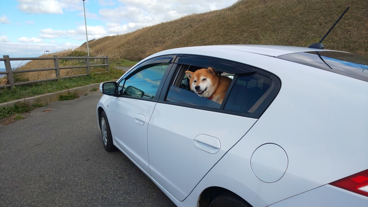 f:id:akita319:20191110212406j:plain
