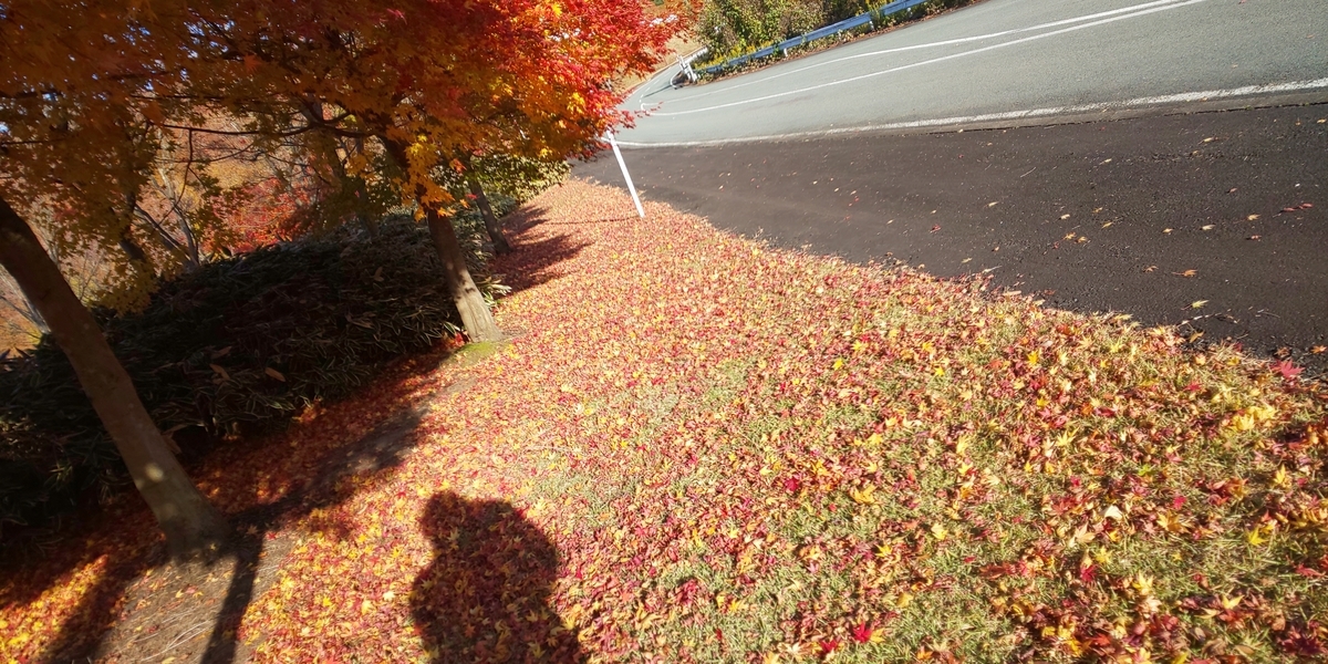 f:id:akita319:20191117205229j:plain