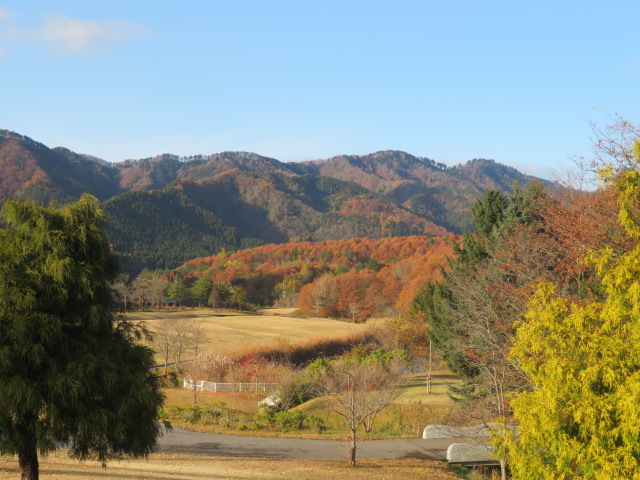 f:id:akita319:20191117205427j:plain