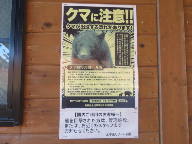 f:id:akita319:20191117205511j:plain