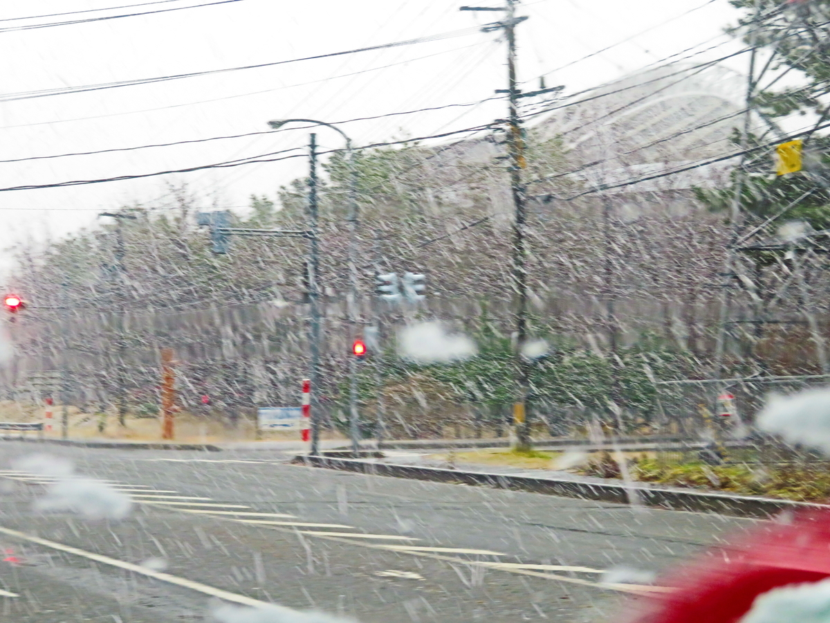 f:id:akita319:20200112092951j:plain