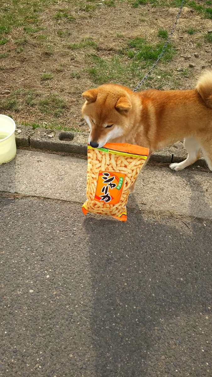 f:id:akita319:20200201183501j:plain