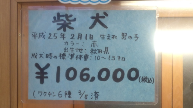 f:id:akita319:20200201183639j:plain