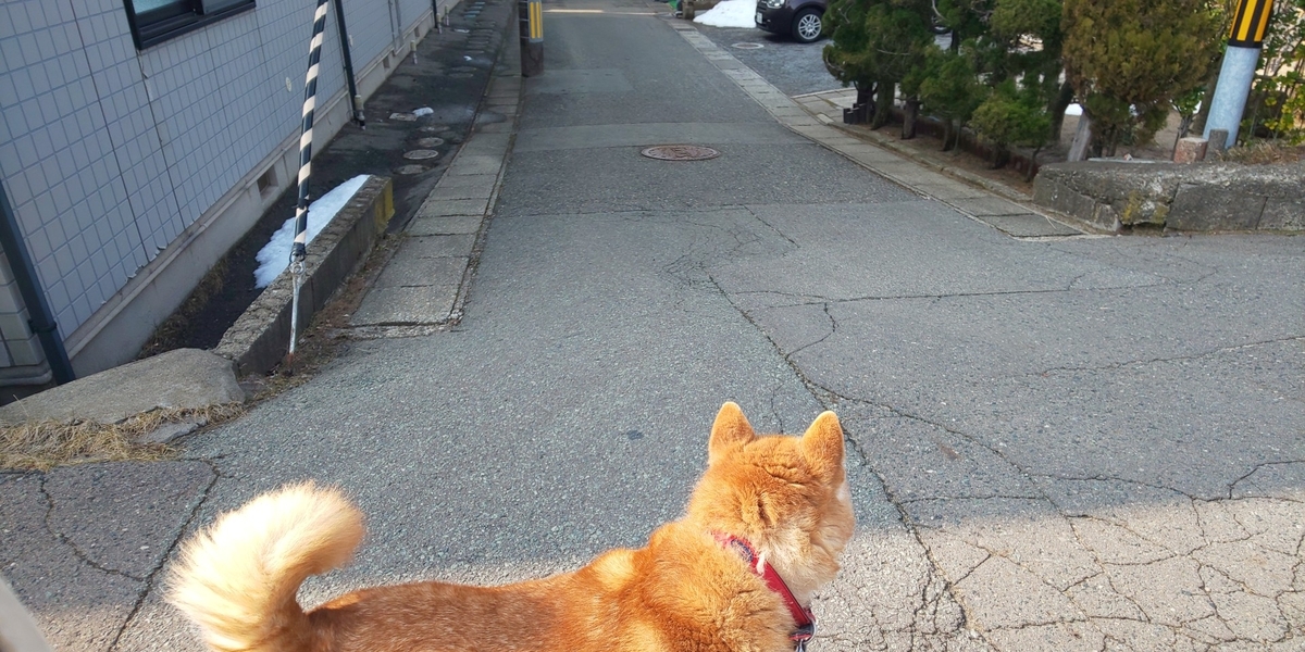 f:id:akita319:20200215102324j:plain f:id:akita319:20200215102324j:plain