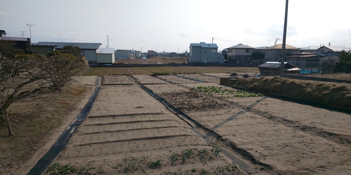 f:id:akita319:20200215102338j:plain f:id:akita319:20200215102338j:plain