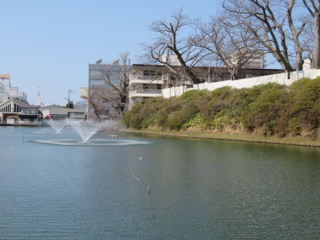 f:id:akita319:20200320070733j:plain