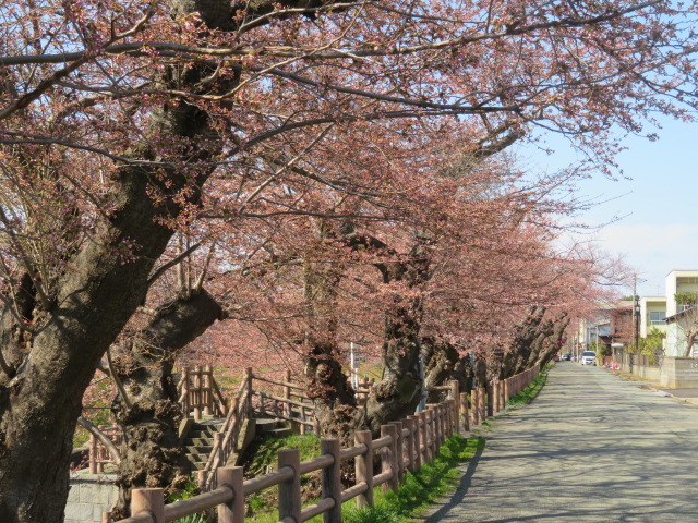 f:id:akita319:20200412082504j:plain