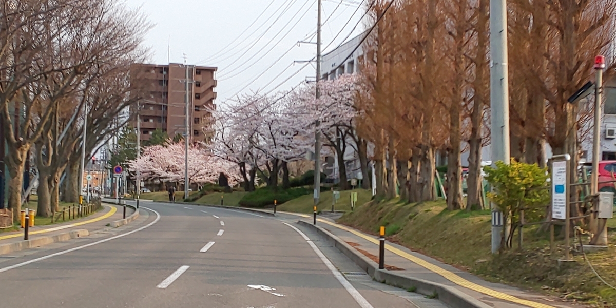 f:id:akita319:20200416191845j:plain