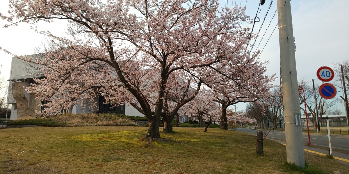 f:id:akita319:20200416191910j:plain
