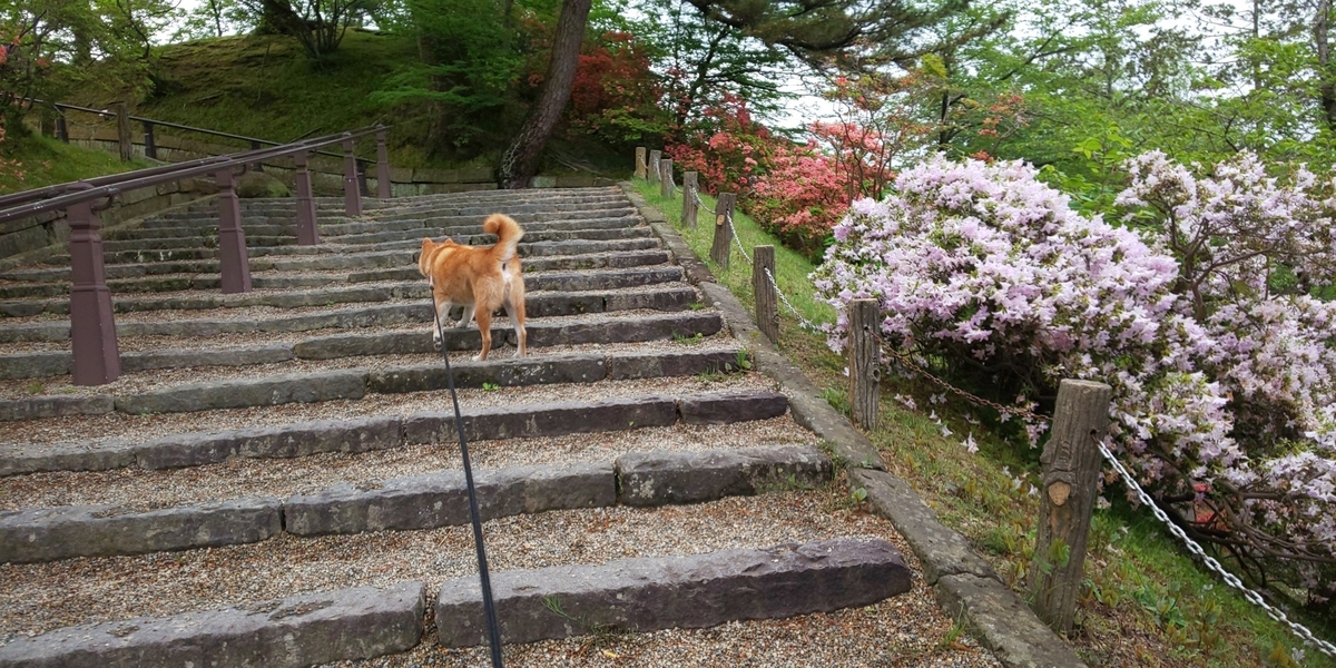 f:id:akita319:20200517183717j:plain