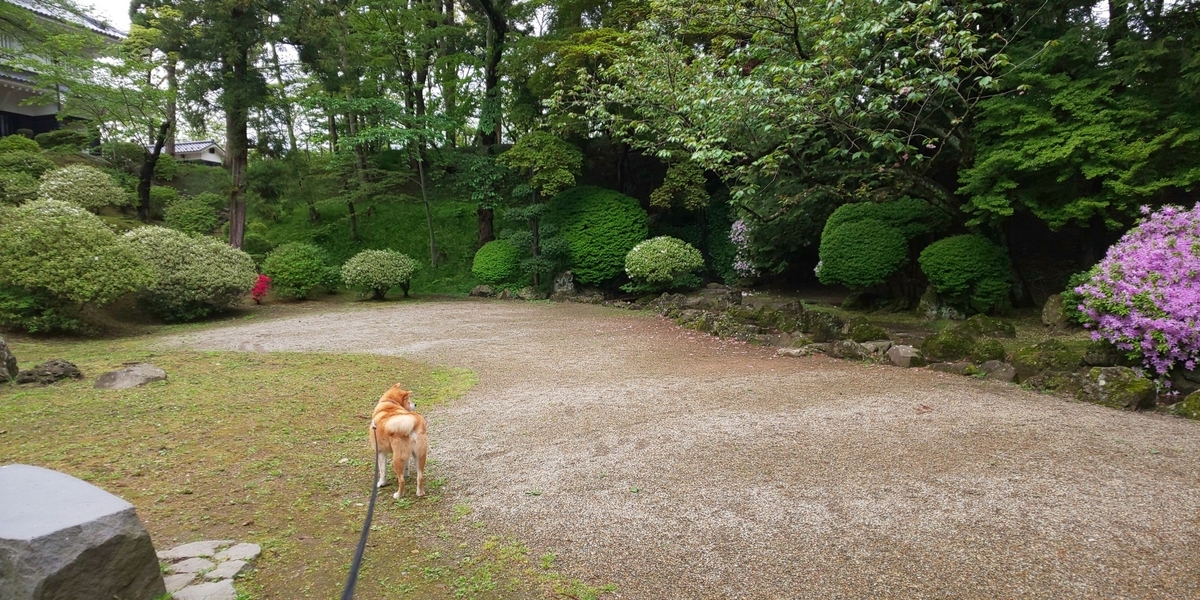 f:id:akita319:20200517183801j:plain