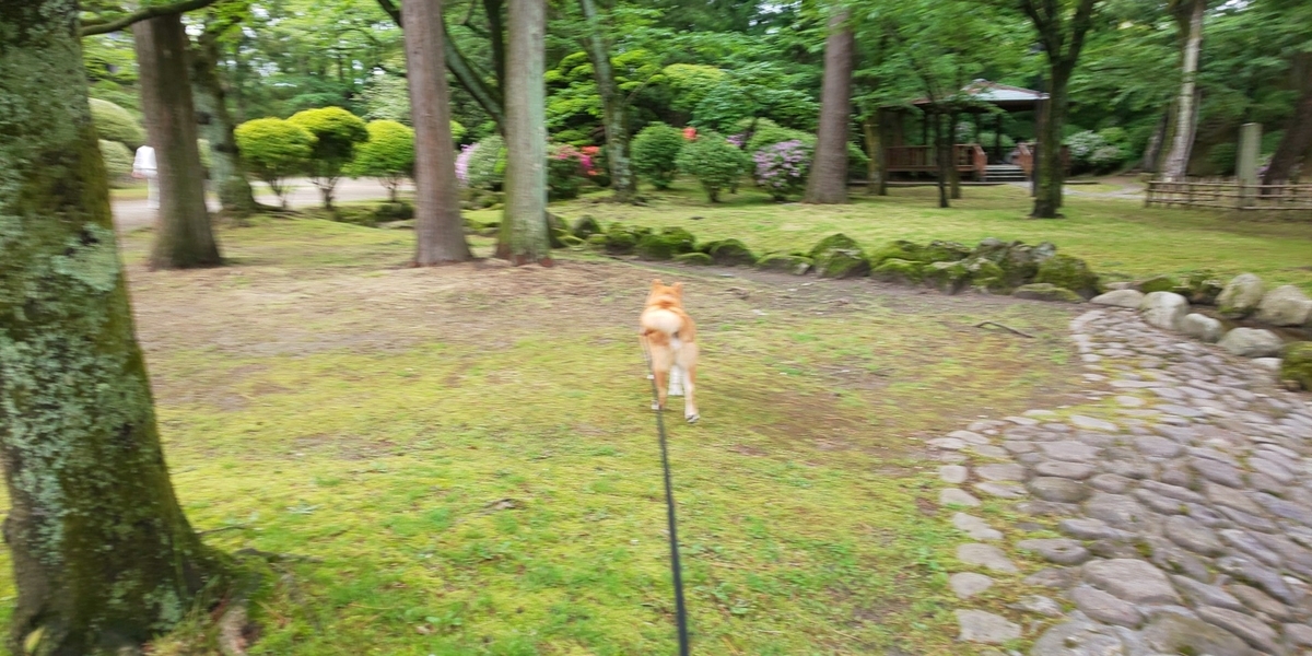 f:id:akita319:20200517184001j:plain