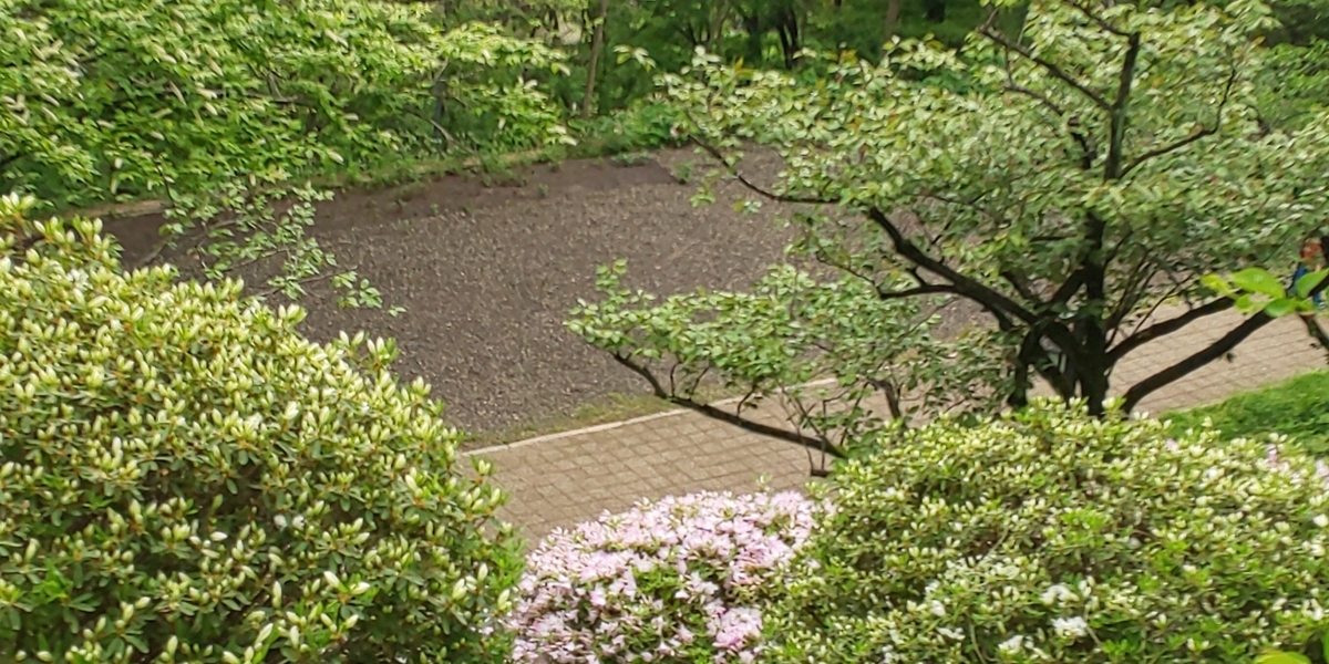 f:id:akita319:20200517184021j:plain