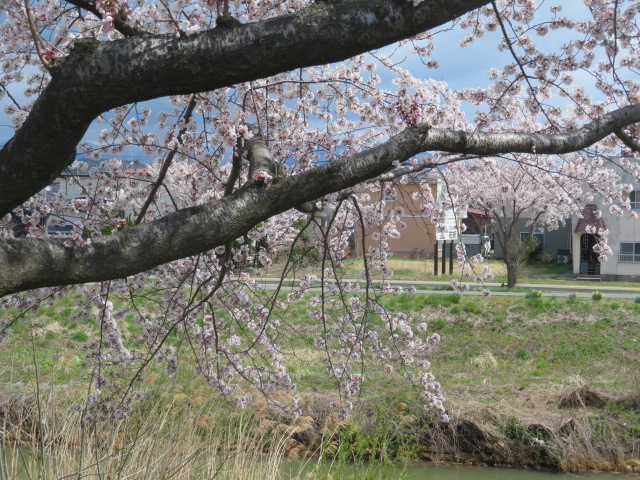 f:id:akita319:20210410213701j:plain