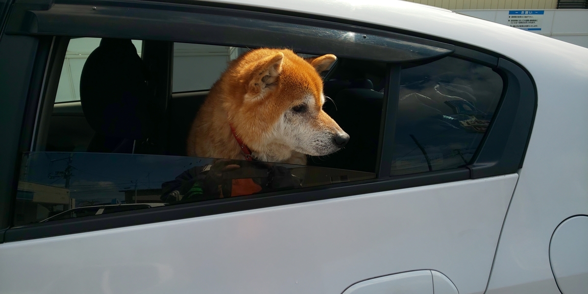 f:id:akita319:20210907194208j:plain