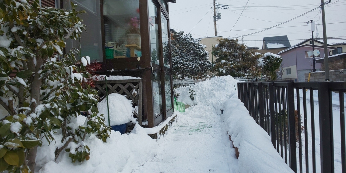f:id:akita319:20220102101610j:plain