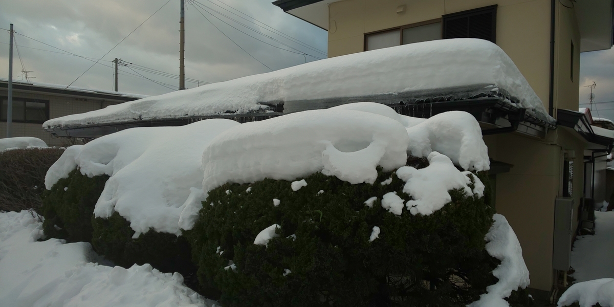 f:id:akita319:20220108113523j:plain