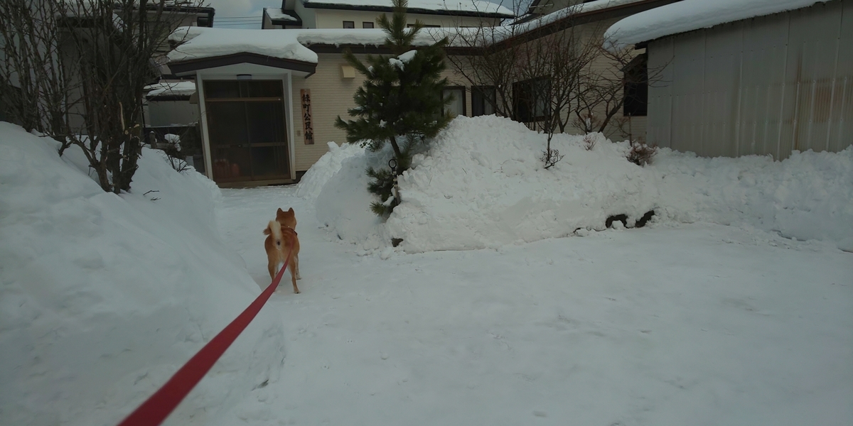 f:id:akita319:20220108113546j:plain